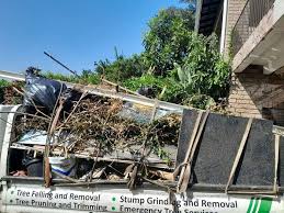 Demolition Debris Removal in Homestead Meadows South, TX